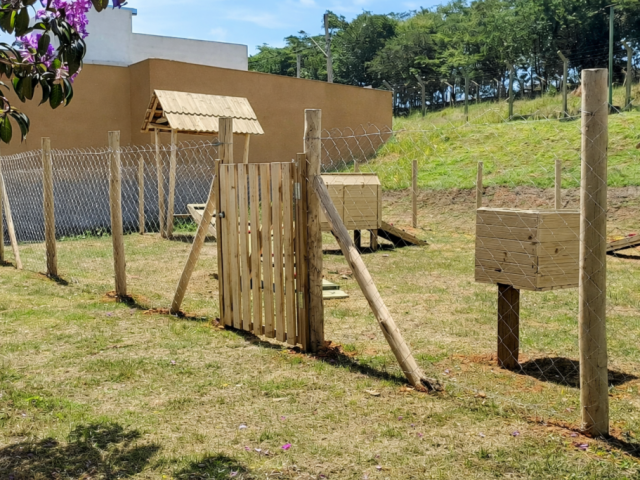 Pet place brinquedos para cães