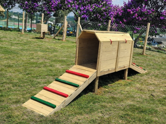 túnel pet para cães