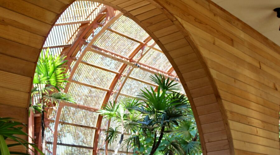 O Arco De Madeira Molda Uma Vista Das Plantas Tropicais Io uz1qtbFw