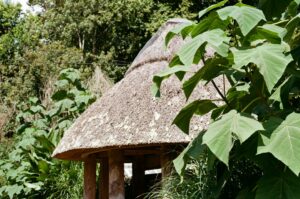 Cabana De Telhado De Palha Cercada Por Folhagem Verde Exuberante l_Rho_pn5x4