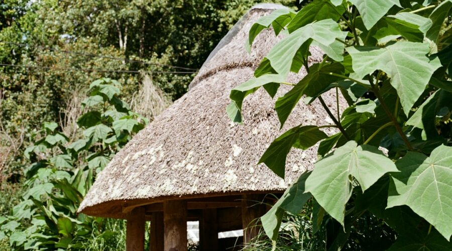 Cabana De Telhado De Palha Cercada Por Folhagem Verde Exuberante l_Rho_pn5x4